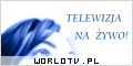 telewizja przez internet