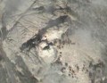 Mt Rushmore- cztery głowy prezydentów USA