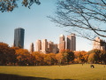 Central Park