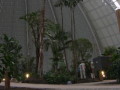 Tropical Islands Resort