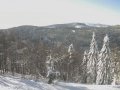 Jaworzyna