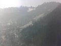 Palenica