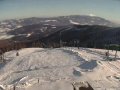 Hala Miziowa