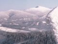Hala Miziowa