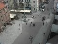 Rynek