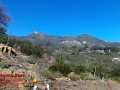Descanso - Mount Cuyamaca