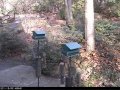 Short Hills - Cora Hartshorn Aboretum