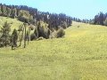 Maciejowa - stok narciarski