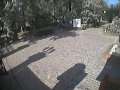 Cmentarz Rakowicki