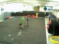 Lucky Dog - resort, training school