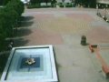 Plac Hoffa