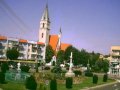 Rynek