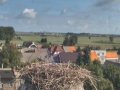 Raszków - bociany