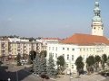 Rynek