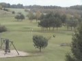 Pole golfowe