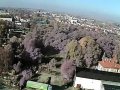 Panorama miasta