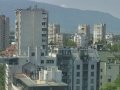 Sofia