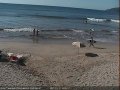 Tamarindo