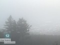 Kickelhahn