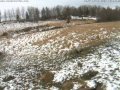 Orrviken - łosie