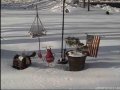 Arundel