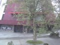 Szczecin - Divine Merc... - Pologne Szczecin