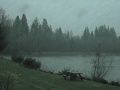 Forks - Quillayute River