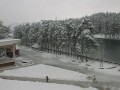 Zlatibor