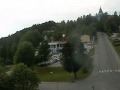 Vilhelmina
