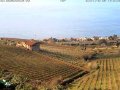 Teneryfa - Bodegas Monje