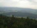 Javorník