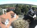 Aulendorf - bocianie gniazdo
