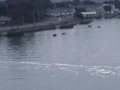 Poole Harbour