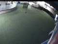Portland - Sniff Dog Hotel