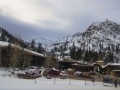 Alpine Meadows