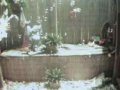 Delray - ogród z bąbelkami