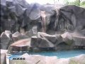 Riverbank ZOO - niedźwiedzie