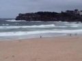 Plaża Bondi