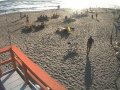 Torvaianica - Capitani di Spiaggia