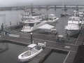 Charleston - City Marina