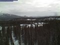 Park Narodowy Denali
