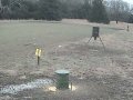 Ocala - bird feeder