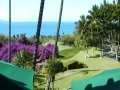 Maui - Gannon's