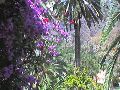 La Gomera - Valle Gran Rey