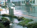 Long Beach