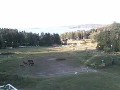 Hollola