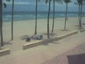 Hollywood Beach - Sugar Reef