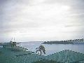 Honolulu - harbor