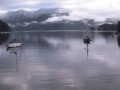 Deep Cove
