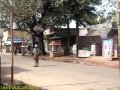 Bharat